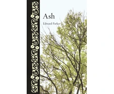 KNYGA Parker Ash