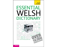 KNYGA Edwin Lewis Essential Welsh Dictionary: Teach Yourself