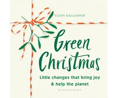 KNYGA Eilidh Gallagher Žalias Christmas