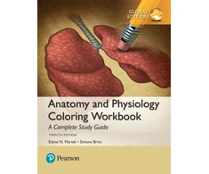KNYGA Elaine Nicpon Marieb Anatomy and Physiology Coloring Workbook: A Complete Study Guide, Global Edition