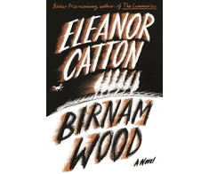 KNYGA Eleanor Catton Birnam Wood