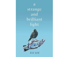 KNYGA Eli Lee Strange and Brilliant Light: Winner of the Writers' Guild Best First Novel Award