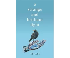 KNYGA Eli Lee Strange and Brilliant Light: Winner of the Writers’ Guild Best First Novel Award