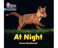 KNYGA Emma Macdonald At Night