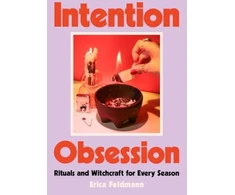 KNYGA Erica Feldmann Intention Obsession