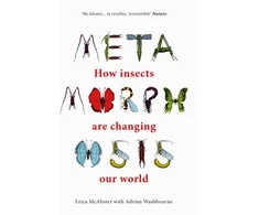KNYGA Erica Mcalister Metamorphosis