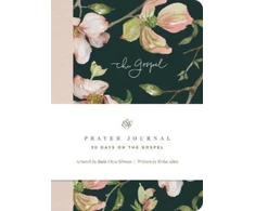 KNYGA Erika Allen ESV Prayer Journal, 30 Days on the Gospel (Paperback)