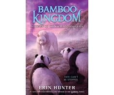 KNYGA Erin Hunter Journey to the Dragon Mountain