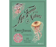 KNYGA Ernst Haeckel: Art Forms in Nature: 22 Pull-Out Posters