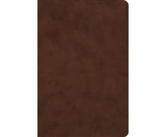 KNYGA Esv Bibles ESV Holy Bible