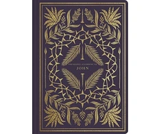 KNYGA Esv Bibles ESV Illuminated Scripture Journal