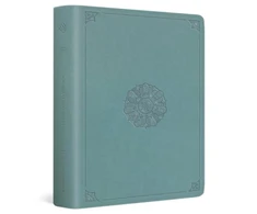 KNYGA Esv Bibles ESV Journaling Bible