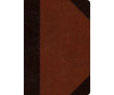 KNYGA Esv Bibles ESV Large Print Wide Margin Bible