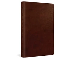 KNYGA Esv Bibles ESV New Testament with Psalms and Proverbs