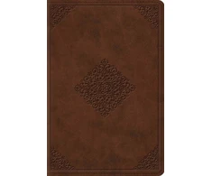KNYGA Esv Bibles ESV Study Bible, Personal Size
