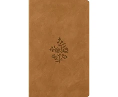 KNYGA Esv Bibles ESV Vest Pocket New Testament with Psalms and Proverbs, Raudona Letter