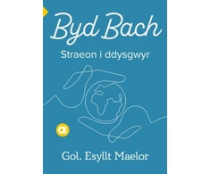 KNYGA Esyllt Maelor Cyfres Amdani: Byd Bach