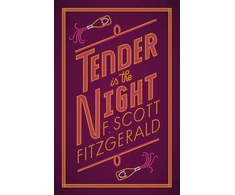 KNYGA F Scott Fitzgerald Tender is the Night