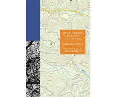 KNYGA Fabio Pusterla Brief Homage to Pluto and Other Poems