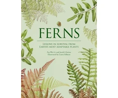 KNYGA Fay Wei Li Ferns