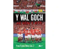 KNYGA Ffion Eluned Owen Wal Goch, Y - Ar Ben y Byd