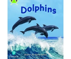 KNYGA Fiona Undrill Bug Club Phonics - Phase 5 Unit 13: Dolphins