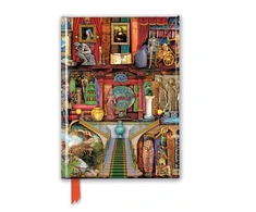 KNYGA Flame Tree Studio Aimee Stewart: Museum Bookshelves (Foiled Journal)
