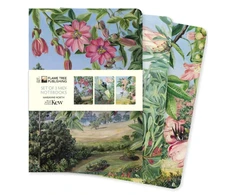 KNYGA Flame Tree Studio Kew Gardens: Marianne North Set of 3 Midi Notebooks