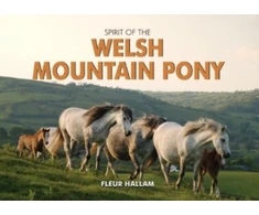 KNYGA Fleur Hallam Spirit of the Welsh Mountain Pony