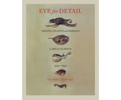 KNYGA Florike Egmond Eye for Detail