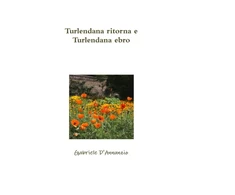 KNYGA Gabriele Dannunzio Turlendana ritorna e Turlendana ebro