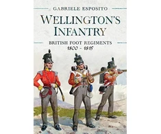 KNYGA Gabriele Esposito Wellington's Infantry