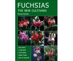 KNYGA George Bartlett Fuchsias