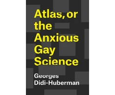 KNYGA Georges Didi Huberman Atlas, or the Anxious Gay Science