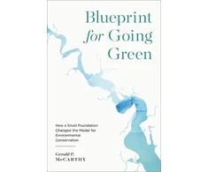 KNYGA Gerald P Mccarthy Blueprint for Going Žalias