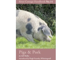 KNYGA Gill Meller Pigs &amp; Pork