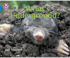 KNYGA Gill Munton What’s Underground