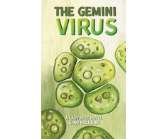 KNYGA Gino Holland Gemini Virus