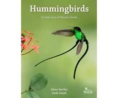 KNYGA Glenn Bartley Hummingbirds