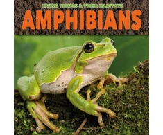 KNYGA Grace Jones Amphibians