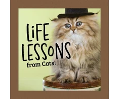 KNYGA Grace Peterson Life Lessons from Cats