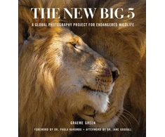 KNYGA Graeme Green New Big Five