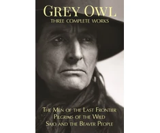 KNYGA Grey Owl Pilkas Owl