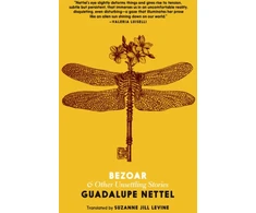 KNYGA Guadalupe Nettel Bezoar