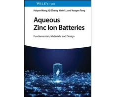 KNYGA Haiyan Wang Aqueous Zinc Ion Batteries