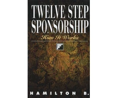 KNYGA Hamilton B Twelve Step Sponsorship