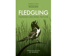 KNYGA Hannah Bourne Taylor Fledgling