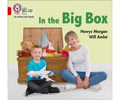 KNYGA Hawys Morgan In the Big Box