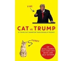 KNYGA Headline Cat vs Trump