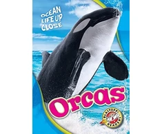 KNYGA Heather Adamson Orcas